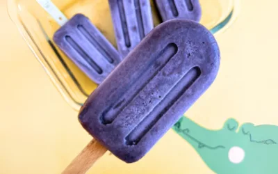Glace aux haricots rouges et myrtille vegan
