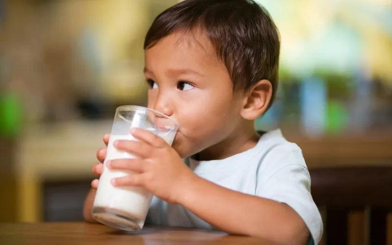 lait végétal enfant végane lait végétal enfant