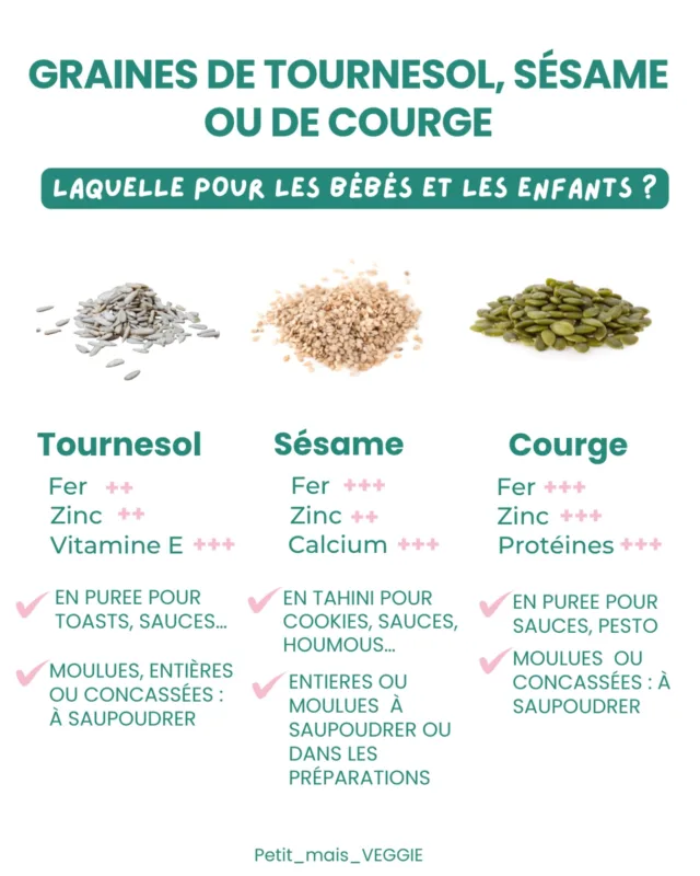 Qui donne du tahini, des graines de tournesol ou des graines de courge à ses enfants ?🙋‍♀️

Moi j’adore en rajouter dans mes salades et on y pense pas trop pour les enfants pourtant, ma fille adore ça ! Elle est dans une période où elle adore manger les petites graines de tournesol et mon fils a 5 ans y est passé aussi, même si la n’en veut plus trop saupoudrées ou entières. Mais on en intègre souvent dans les préparations. 

Ces graines sont toutes des concentrés de nutriments et de calories et sont facile à intégrer aux recettes ! 

➡️Les graines de tournesol sont très complètes et riches en vitamine E.

➡️La purée de sésame ou le tahini est super riche en calcium et en fer. Elle va dans le houmous, en sauces mais aussi dans des recettes sucrées. On peut aussi ajouter des petites graines de sésame sur le riz par exemple pour donner une petite saveur.

➡️Les graines de courges sont des super graines ! 50g de graines de courges fournissent la quasi totalité des besoins en fer des 1-3 ans et elles fournissent 30g de protéines, l’un des aliments les plus protéinés ! On peut l’incorporer aux recettes et on peut essayer en pesto ou ajoutée aux purées de légumes.

⚠️On adapte la forme des graines selon les capacités de mastication de l’enfant. Pour des risques d’étouffement et aussi pour mieux assimiler les nutriments.