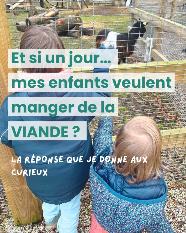 On me pose souvent cette question : « Et si tes enfants veulent manger de la viande ?”

Souvent par curiosité, parfois pour essayer de prouver que je leur impose quelque chose.

Chez nous, il n’est pas vraiment une question de règle ou d’interdiction. On est véganes et c’est un cadre éducatif, construit autour de la bienveillance et l’empathie, pour les animaux et aussi pour les humains et qui se construit au quotidien avec nos lectures, nos activités, nos discussions et bien sûr, notre alimentation.

Et si un jour ils veulent manger des animaux ? Et ben ce sera à l’extérieur parceque chez nous ce sera toujours végane. Et je n’ai aucun doute sur le fait que s’ils veulent expérimenter, ce ne sera que temporaire. 

Qu’est-ce que vous en pensez ?

———————-

Et pour celles et ceux qui veulent avoir toutes les clés pour donner une alimentation végétale complète et équilibrée sereinement, on a développé des programmes d’accompagnement avec @astrid_nutrition_militante, diététicienne spécialisée pour les bébés pendant la diversification et pour les enfants jusqu’à 12 ans. Plus d’infos en bio !