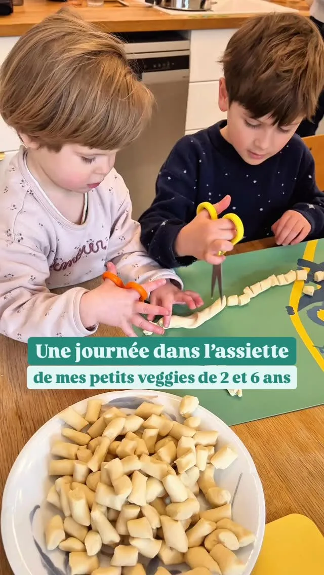 Les repas de mes petits veggies de 2 et 6 ans ce dimanche !Tout est 100% végétal et nous les parents mangeons la même chose ou quasi.On avait fait un gros batch de houmous la veille, qui remplissait bien les wraps et on a fait la recette de @mureetnoisettes pour les gnocchis de haricots blancs, une super manière de rajouter des légumineuses et aussi d’économiser pas mal tout en faisant une activité manuelle avec les enfants, merci à elle !Et sinon le maquillage de ma fille c’était un tigre, elle est actuellement cobaye officielle de son grand frère 😂*****Et pour avoir plus d’idées recettes et toutes les informations nutritionnelles pour vos enfants, de la diversification et jusqu’à 12 ans, nous avons conçu avec Astrid, @astrid_nutrition_militante diététicienne des programmes d’accompagnement complets et intéractifs.
Plus d’infos en bio !