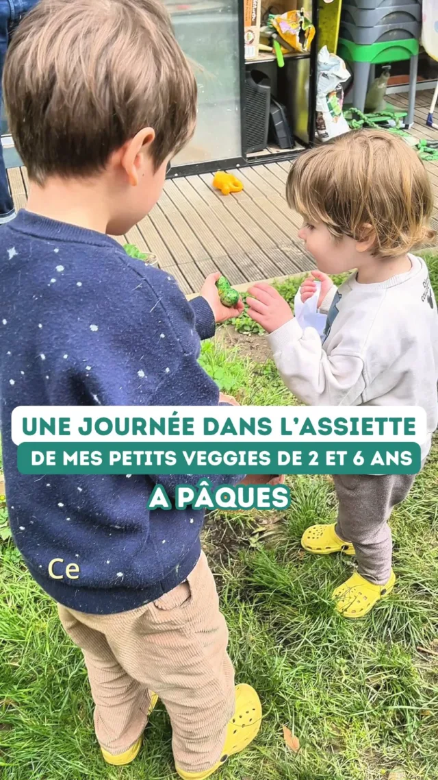 Ce que mes enfants ont mangé à Pâques !On consomme très rarement des aliments industriel et avec du sucre ajouté mais Pâques c’est vraiment une exception chez nous : on adore cette fête et faire trouver des chocolats véganes aux enfants !
On avait quand même fait des chocolats maison, plus sains, j’ai posté la recette la semaine dernière.�
Je me suis inspirée d’une recette de Gwen @start_veggie_daily pour faire les petits nids de patate douce avec les pois chiches grillés pour les œufs qu’on a fait le midi, c’est trop mimi et super bon.Et vous, ça c’est passé comment ce week-end de Pâques ?**********Moi c’est Emilie, maman de 2 enfants végé, formée en nutrition végétale, et avec Astrid, @astrid_nutrition_militante diététicienne, on a créé des programmes d’accompagnement complets pour les parents végétariens, véganes et flexitariens, de la diversification jusqu’à 12 ans pour connaître les repères nutritionnels essentiels, savoir équilibrer facilement les repas, avoir des idées recettes et tout savoir pour élever des petits végétariens ou véganes de manière simple et saine ! Liens en bio 👆
