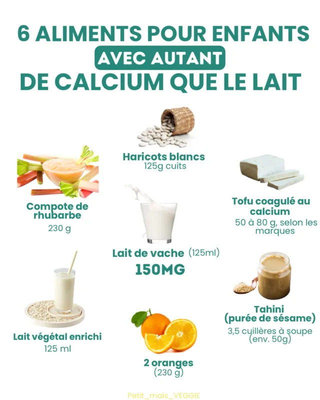 Les produits laitiers animaux ne sont pas indispensables pour les enfants ! Et c’est la saison de la rhubarbe 🙌👉Avant 1 an, les besoins sont couverts par le lait maternel / infantile et ensuite, même si le lait infantile peut être poursuivi jusqu’à 3 ans, et l’allaitement maternel tant qu’on veut, il faut intégrer en plus des aliments riches en calcium au quotidien.Les recommandations de l’anses sont :
- 1 à 3 ans : 450mg / jour
- 4 à 10 ans : 800mg / jour
- 11 à 17 ans : 1150 mg/jour🥬 De manière générale, les légumes verts (brocolis, choux etc.) fournissent du calcium mais il faut quand même en manger pas mal pour arriver aux mêmes apports que le lait, et vu que les enfants ne sont généralement pas du genre à redemander du brocolis… 😅 donc on en propose régulièrement aux même si on sait que c’est pas ça qui va leur apporter l’essentiel du calcium nécessaire !Et vous, vous saviez que ces aliments étaient riches en calcium ?*******Moi c’est Emilie, maman de 2 enfants végé, formée en nutrition végétale, et avec Astrid, diététicienne @astrid_nutrition_militante on a créé des programmes d’accompagnement complets pour les parents végétariens, véganes et flexitariens, de la diversification jusqu’à 12 ans pour connaître les repères nutritionnels essentiels, savoir équilibrer facilement les repas, avoir des idées recettes et tout savoir pour élever des petits végétariens ou véganes de manière simple et saine !
Liens en bio 👆