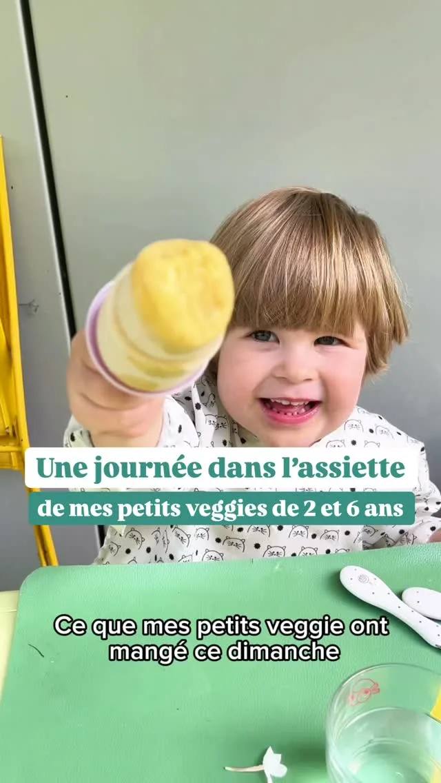 Ce que mes enfants véganes de 2 et 6 ans ont mangé ce dimanche à la maison !Je sais pas vous mais depuis que la saison des fraises est lancée on ne mange que ça ! Mais vu le prix en bio, on rationne à 2 ou 3 max par repas^^On est allés à la @citeimmersivefables , et ce n’est pas une collab ni même une invitation mais on a trouvé ça génial ! Je trouve que c’est une super façon de faire découvrir les fables de la fontaine aux enfants, avant qu’ils ne les apprennent à l’école. Je cherche souvent à faire des activités pour leur faire découvrir des animaux ou leur faire comprendre qu’ils sont sentients et je trouve que les fables de la Fontaine en personnifiant les animaux donne une valeur morale aux animaux, leur attribue des qualités qui peuvent d’ailleurs changer en fonction des histoires et quelques leçons de vie au passage.Le webinaire dont je parle se déroule tous les mois avec nos membres du programme diversification veggie, accessible pendant 1 an et c’est un super moment d’échanges et de partages avec Astrid, diététicienne et les parents pour les accompagner et les soutenir dans les début d’une parentalité végé !*******Moi c’est Emilie, maman de 2 enfants végé, formée en nutrition végétale, et avec Astrid, @astrid_nutrition_militante diététicienne, on a créé des programmes d’accompagnement complets pour les parents végétariens, véganes et flexitariens, de la diversification jusqu’à 12 ans pour connaître les repères nutritionnels essentiels, savoir équilibrer facilement les repas, avoir des idées recettes et tout savoir pour élever des petits végétariens ou véganes de manière simple et saine !
Liens en bio 👆