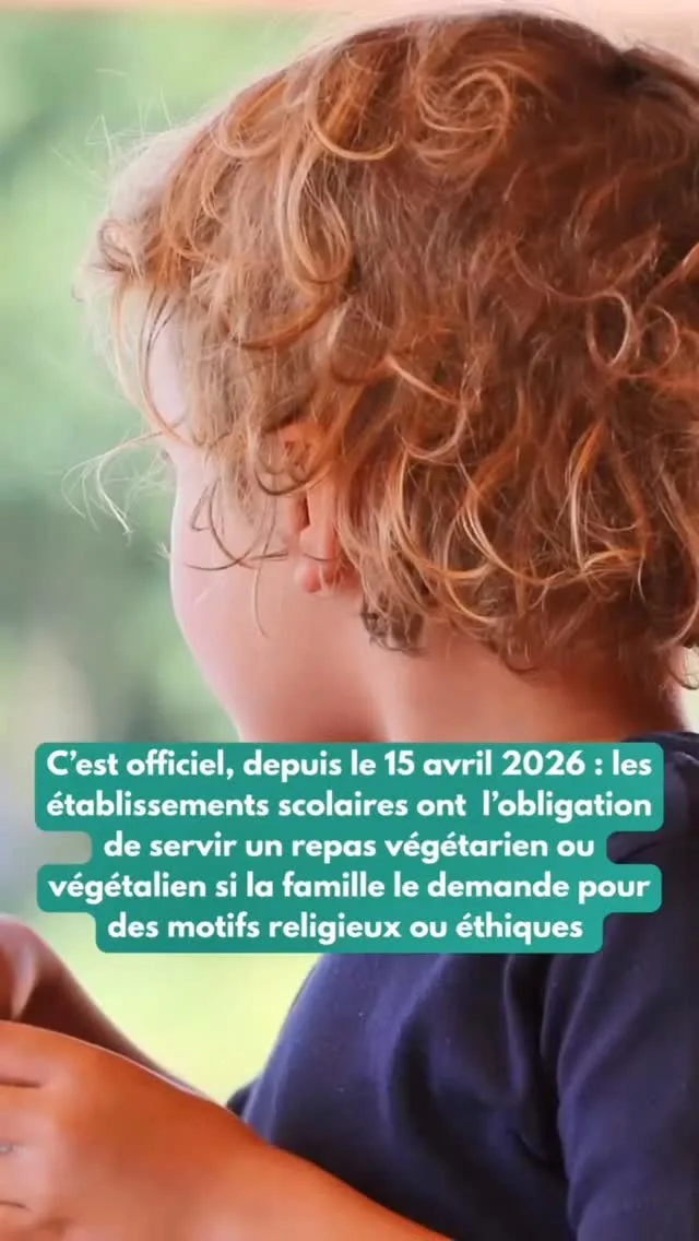 En Europe ça avance ! Le Portugal et maintenant l’Espagne ont légiféré pour permettre aux enfants d’avoir des repas véganes. Du coup désolée pour la fausse joie 😅. Et si la plupart des pays d’Europe sont bien plus souple que la France en la matière, ici c’est très disparaître et on respecte souvent à peine la loi Egalim…En attendant de changer ça ici - en votant pour des politiques qui prônent le végétal, et surprise ça se passe à gauche - avec Astrid on vous propose un atelier pour vous expliquer la règlementation française, vos droits et les démarches à engager pour des repas + végétaux. C’est aussi l’occasion de partager l’expérience d’autres parents et de se soutenir ! Ça se passe le 11 juin à 21h, c’est gratuit mais l’inscription est obligatoire.
 Commentez “collectivité” pour recevoir le lien d’inscription directement en MP ⬇️ ******Moi c’est Emilie, maman de 2 enfants végé, et avec Astrid, diététicienne @astrid_nutrition_militante on a créé des programmes d’accompagnement complets pour les parents végétariens, véganes et flexitariens, de la diversification jusqu’à 12 ans pour connaître les repères nutritionnels essentiels, savoir équilibrer facilement les repas, avoir plein d’idées recettes mais aussi avoir toutes les clés pour gérer la vegetalisation de l’alimentation à l’extérieur ! Liens en bio 👆