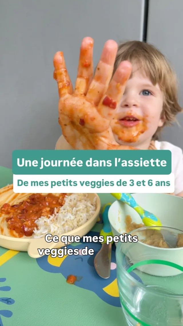 Pour inspiration pour des repas pour les enfants végétariens ou véganes 😉On a essayé les bâtonnets sucrés @yooji_baby_food qui sont pour la DME et pour c’est vraiment pas mal ! La texture est bien molle et la forme facile à attraper et ça fait partie de leurs nombreux produits 100% végétaux. En vacances, je cuisine en général un peu moins donc ce genre de produits c’est pas mal 😉Ce sont des produits offerts et vous avez -15% sur tout leur site avec mon code VEGGIE15 (code affilié)*****Moi c’est Emilie, maman de 2 enfants végé, et avec Astrid, diététicienne @astrid_nutrition_militante on a créé des programmes d’accompagnement complets pour les parents végétariens, véganes et flexitariens, du début de la diversification jusqu’à 12 ans pour connaître les repères nutritionnels essentiels de l’alimentation végétale, savoir équilibrer facilement les repas, mieux gérer le quotidien et l’extérieur (famille, médecins…) et avoir plein d’idées recettes !
Liens en bio 👆