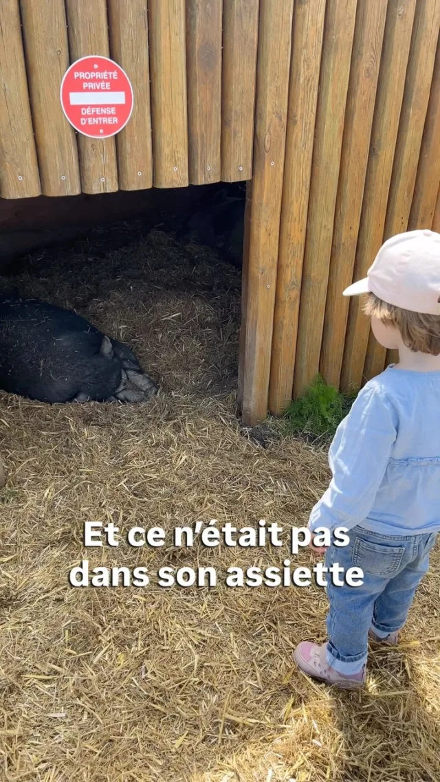 Mes enfants de 3 et 6 ans grandissent sans manger d’animaux et même de produits issus de leur exploitation. Les animaux qu’ils approchent ce sont ceux des refuges.C’est un cadre éducatif cohérent avec nos valeurs et une excellente façon de cultiver la bienveillance et l’empathie envers les animaux mais aussi par extension aux humains, dès le plus jeune âge.Une alimentation végétale est saine et viable a tout âge et pendant la grossesse, l’allaitement, la petite enfance, l’enfance et l’adolescence, comme l’affirme l’American dietetic association et le confirment les dernières meta analyses comparant des dizaines de milliers de bébé et d’enfants végétariens, véganes et omnivores (PMID: 41382333, PMID: 41801207).Et pour s’assurer d’une alimentation équilibrée, il suffit d’adopter les bons réflexes et de prendre de nouvelles habitudes adaptées aux enfants ❤️@astrid_nutrition_militante , diététicienne et moi on est là pour vous aider avec des programmes d’accompagnement complets et des ateliers en ligne pour les enfants végétariens, véganes et flexitariens, du début de la diversification jusqu’à 12 ans pour connaître les repères nutritionnels essentiels de l’alimentation végétale, savoir équilibrer facilement les repas, mieux gérer le quotidien et l’extérieur (famille, médecins…) et avoir plein d’idées recettes.Liens en bio 👆