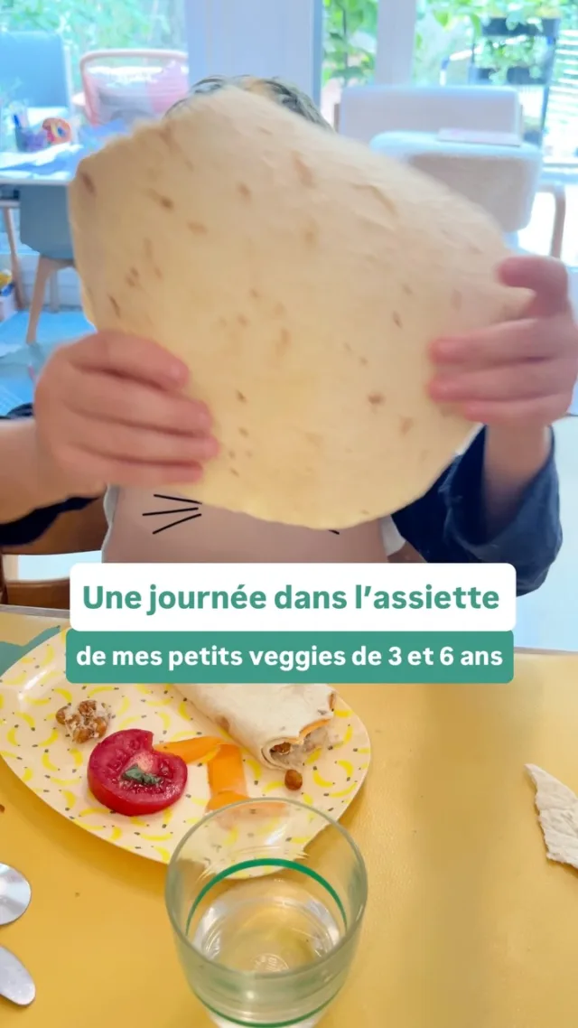 Pour inspiration, voici les repas véganes de mes enfants de 3 et 6 ans hier !*****Avec @astrid_nutrition_militante diététicienne on a créé des programmes d’accompagnement complets et des ateliers en ligne pour les parents végétariens, véganes et flexitariens, du début de la diversification jusqu’à 12 ans pour connaître les repères nutritionnels essentiels de l’alimentation végétale, savoir équilibrer facilement les repas, mieux gérer le quotidien et l’extérieur (famille, médecins…) et avoir plein d’idées recettes !Liens en bio 👆