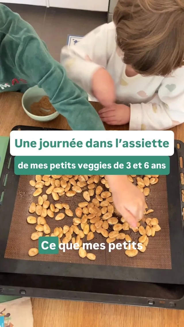 Pour inspiration tous les repas véganes que mes enfants de 3 et 6 ans ont mangé hier !On était plus ou moins assignés à la maison une bonne partie de la journée donc on en a profité pour faire pas mal de cuisine^^Pour les mochis j’ai fait une base avec :
300g de farine de riz gluant + 60g de sucre glace et 300ml d’eau, il faut chauffer plusieurs fois à couvert au micro ondes et c’est tout ! Pour la pâte de haricots rouges j’ai pris ma recette de pâte à tartiner et j’ai juste retiré le cacao mais j’aurais du retirer le lait végétal aussi.*****Avec @astrid_nutrition_militante diététicienne on a créé des programmes d’accompagnement complets et des ateliers en ligne pour les parents végétariens, véganes et flexitariens, du début de la diversification jusqu’à 12 ans pour connaître les repères nutritionnels essentiels de l’alimentation végétale, savoir équilibrer facilement les repas, mieux gérer le quotidien et l’extérieur (famille, médecins…) et avoir plein d’idées recettes !Liens en bio 👆